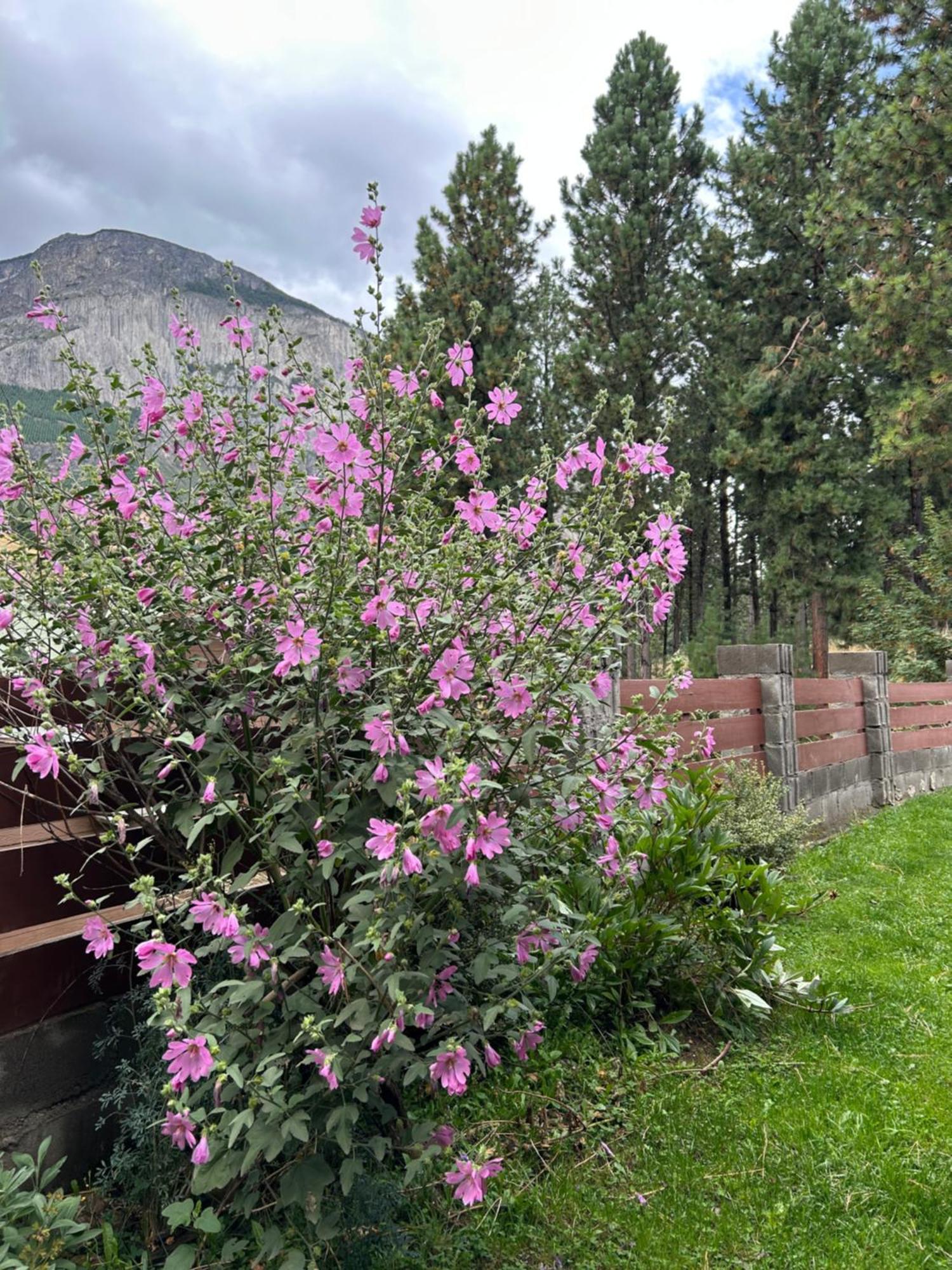 Apartamento Patagonia Kooch