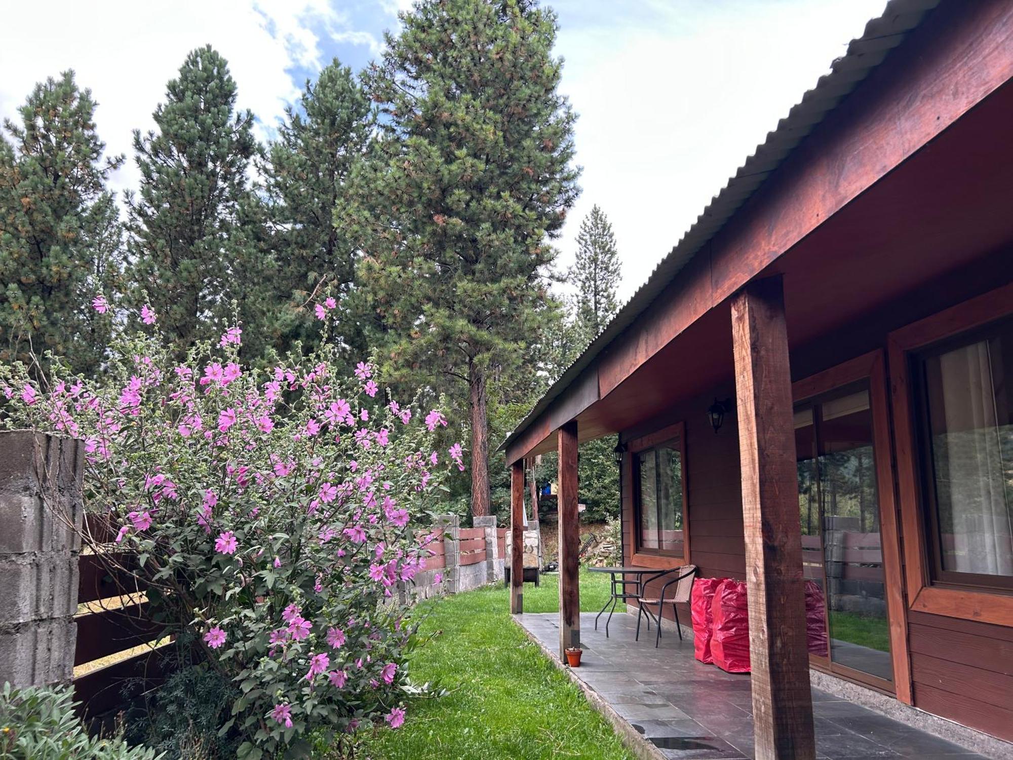 Patagonia Kooch * Coyhaique